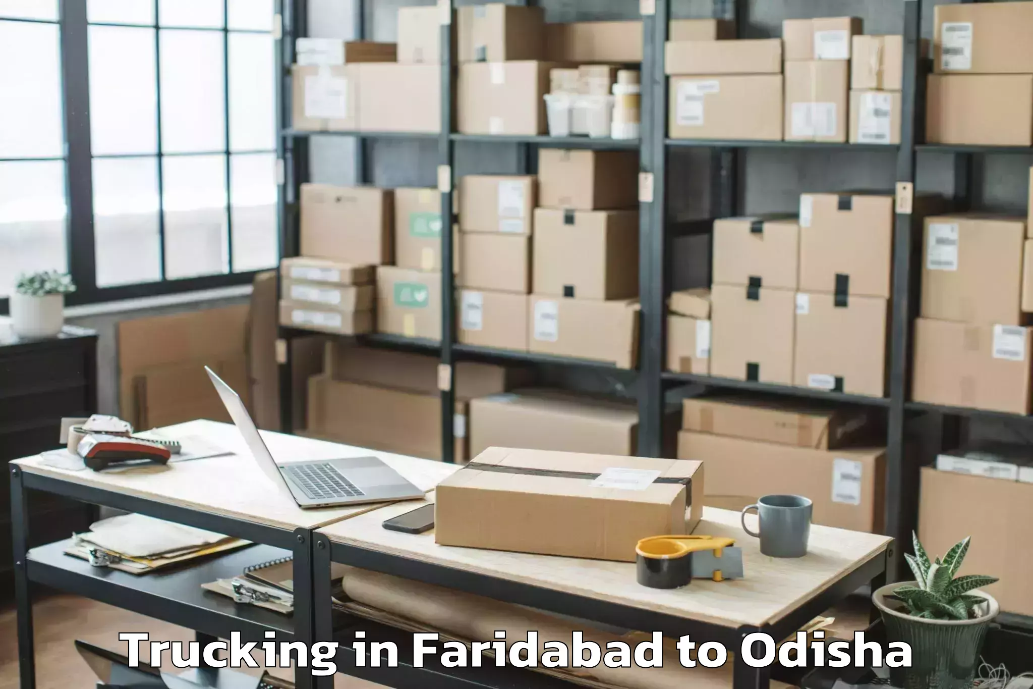 Reliable Faridabad to Dharamgarh Trucking